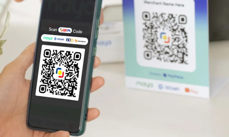 Maya Wallet Direct Cashout and BSP Verified Security Screen