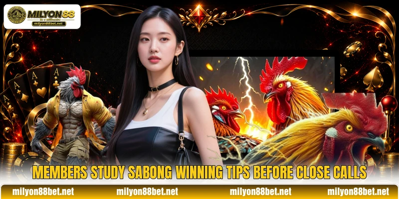 Members study Sabong Winning Tips before close calls Members study Sabong Winning Tips before close calls