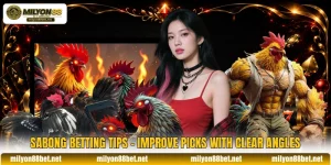 Sabong Betting Tips - Improve Picks With Clear Angles
