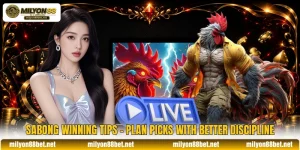Sabong Winning Tips - Plan Picks With Better Discipline
